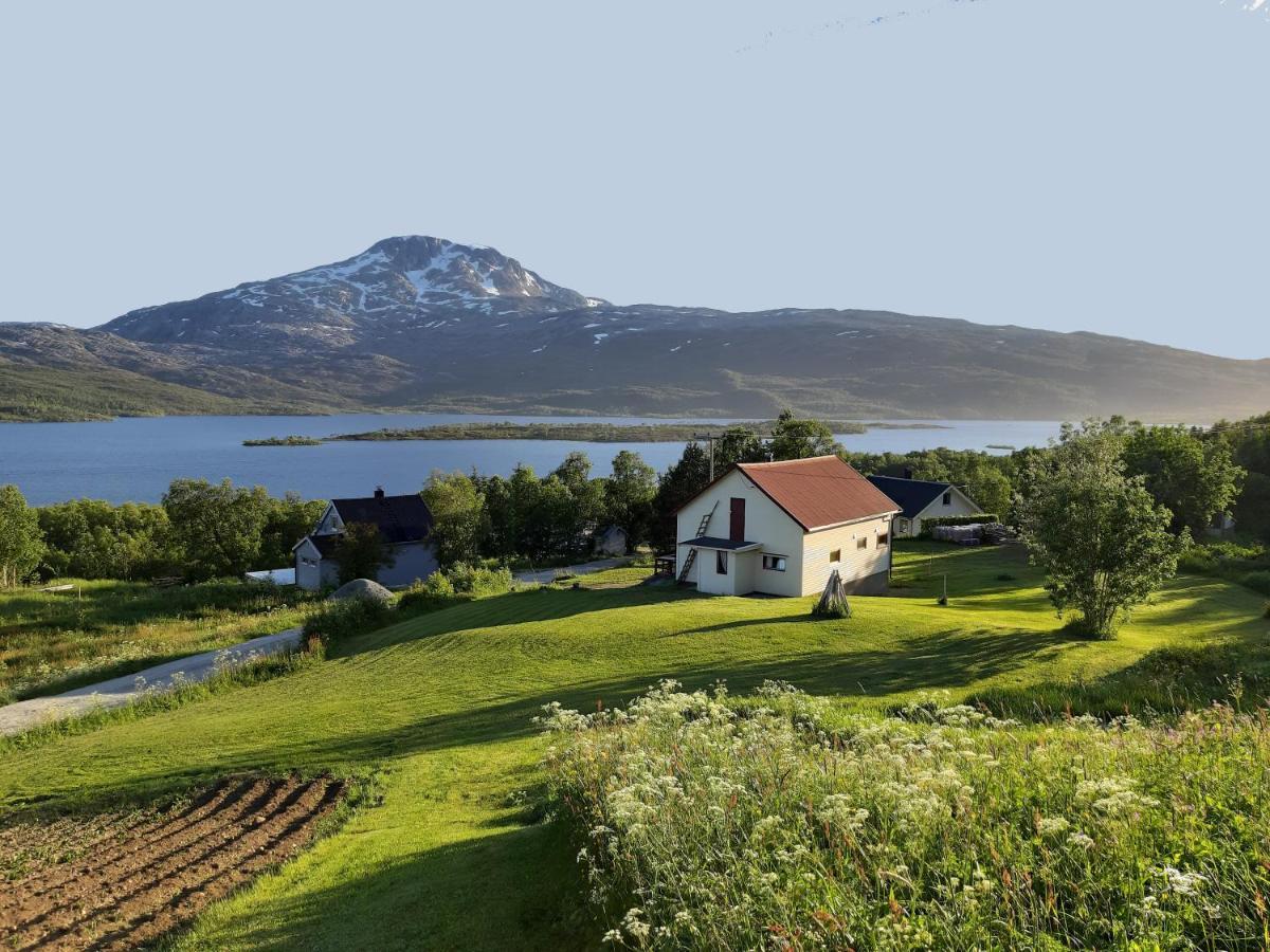 Apartmán Fjoset Hansnes Exteriér fotografie