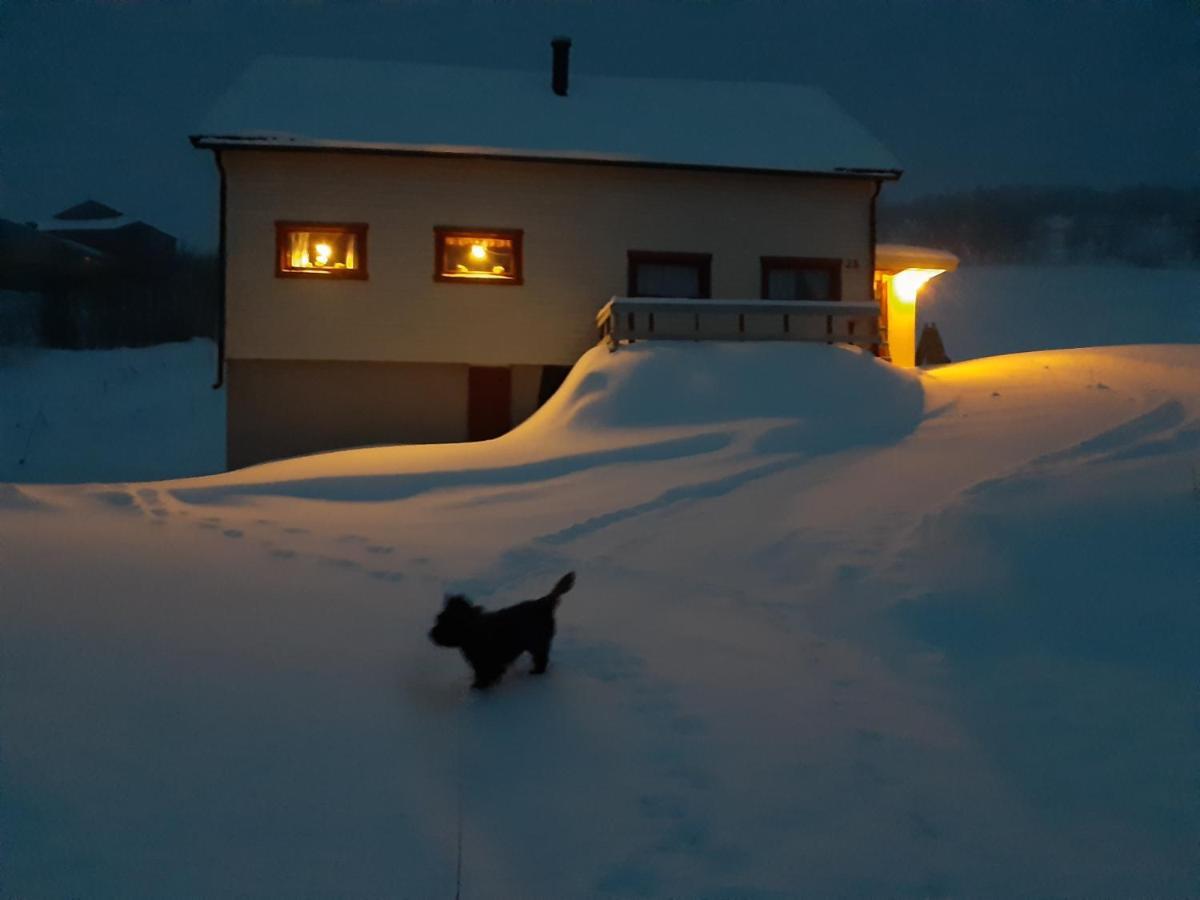 Apartmán Fjoset Hansnes Exteriér fotografie