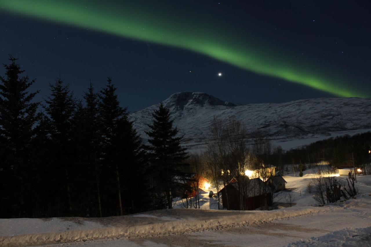 Apartmán Fjoset Hansnes Exteriér fotografie